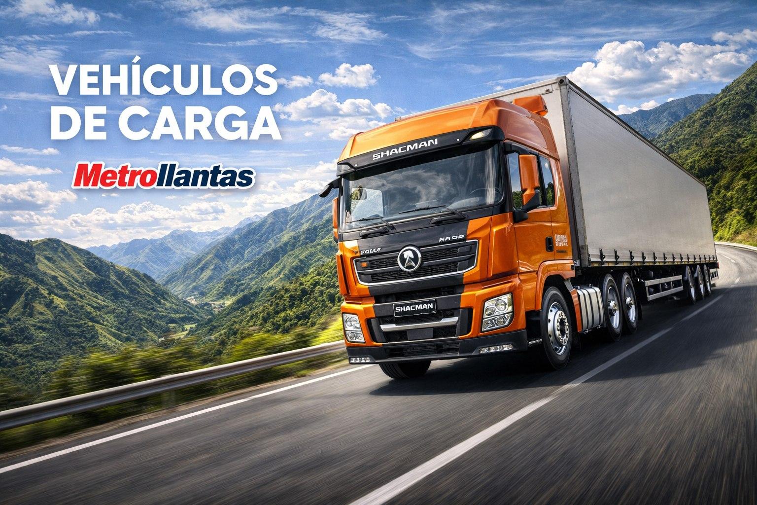 vehiculo de carga